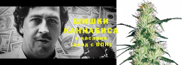 трава Сатка