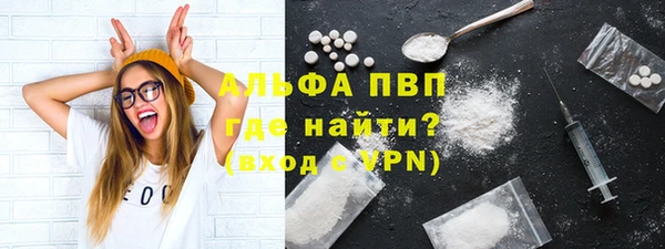 молекула духа Богданович