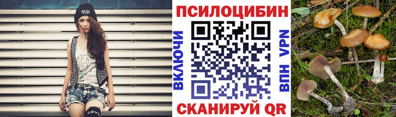 Псилоцибиновые грибы GOLDEN TEACHER наркошоп Рыбное